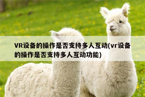 VR设备的操作是否支持多人互动(vr设备的操作是否支持多人互动功能)-凯发就来凯发天生赢家一触即发