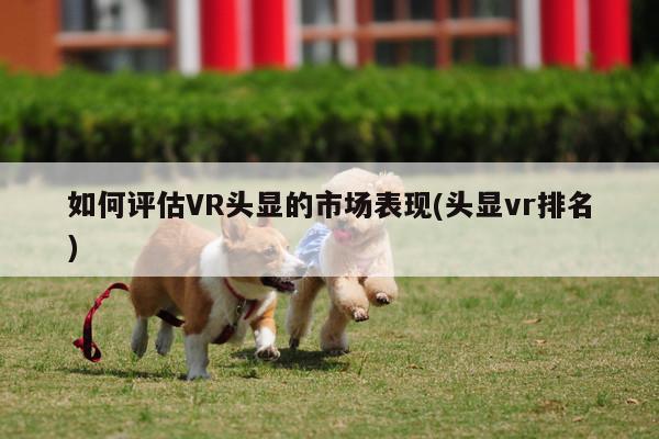 k8凯发-如何评估VR头显的市场表现(头显vr排名)