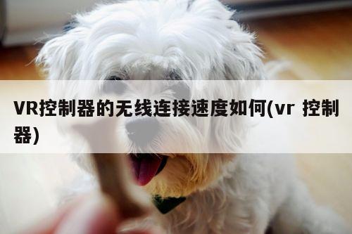 VR控制器的无线连接速度如何(vr 控制器)|凯发一触即发