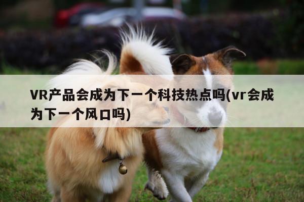 凯发一触即发_VR产品会成为下一个科技热点吗(vr会成为下一个风口吗)