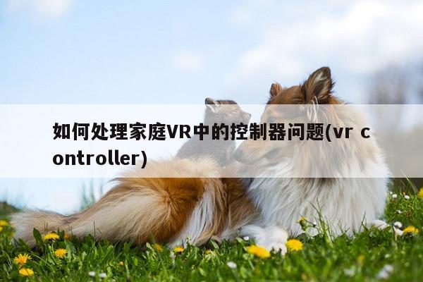 k8凯发-如何处理家庭VR中的控制器问题(vr controller)