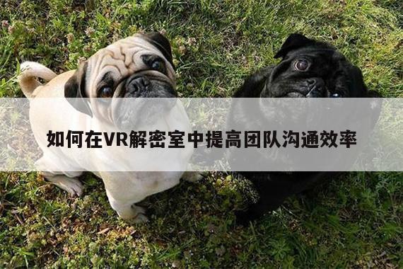 k8凯发-如何在VR解密室中提高团队沟通效率