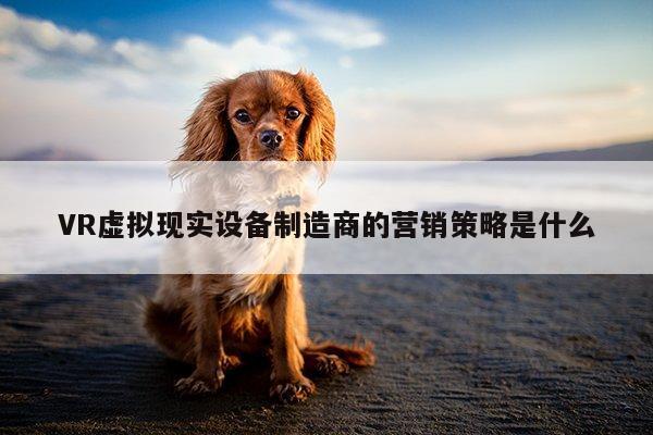 VR虚拟现实设备制造商的营销策略是什么_凯发就来凯发天生赢家一触即发