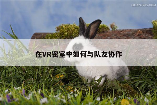 在VR密室中如何与队友协作【凯发就来凯发天生赢家一触即发】