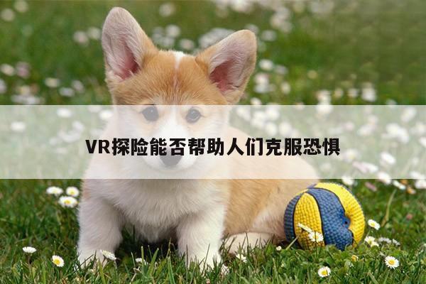 VR探险能否帮助人们克服恐惧-k8凯发