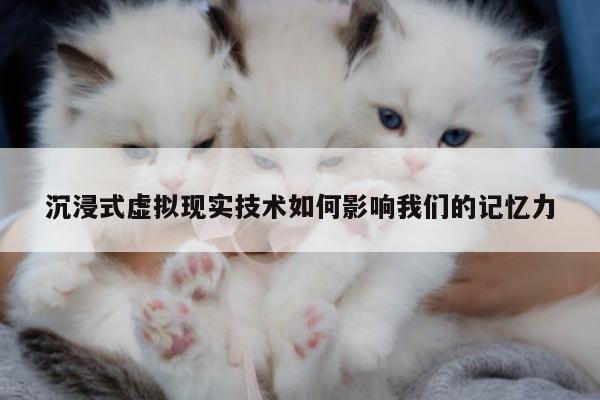 k8凯发_沉浸式虚拟现实技术如何影响我们的记忆力