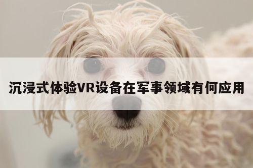 沉浸式体验VR设备在军事领域有何应用：凯发就来凯发天生赢家一触即发