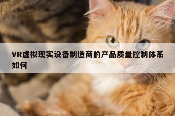 VR虚拟现实设备制造商的产品质量控制体系如何_k8凯发