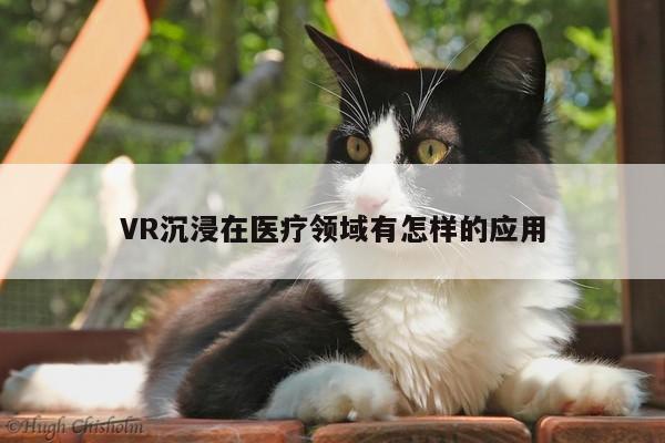 VR沉浸在医疗领域有怎样的应用_凯发一触即发