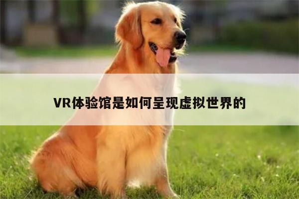 VR体验馆是如何呈现虚拟世界的：凯发就来凯发天生赢家一触即发