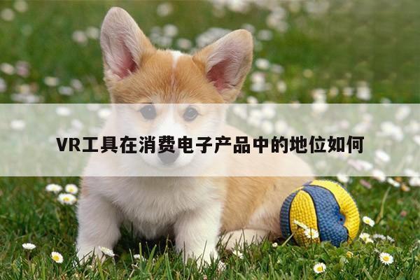 k8凯发|VR工具在消费电子产品中的地位如何