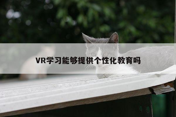 【k8凯发】VR学习能够提供个性化教育吗