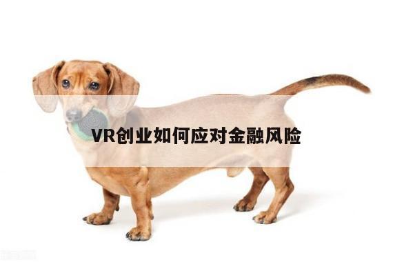 VR创业如何应对金融风险|k8凯发