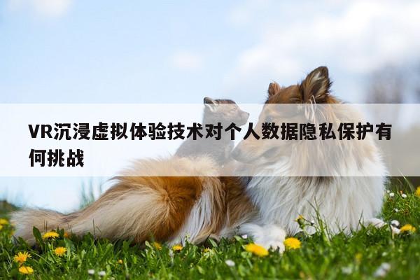 VR沉浸虚拟体验技术对个人数据隐私保护有何挑战_凯发一触即发