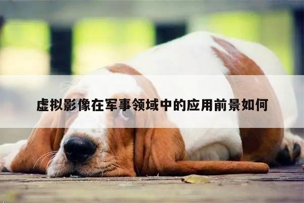 【凯发一触即发】虚拟影像在军事领域中的应用前景如何