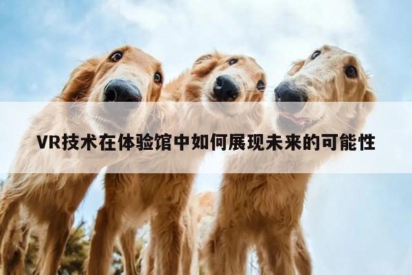 VR技术在体验馆中如何展现未来的可能性-k8凯发