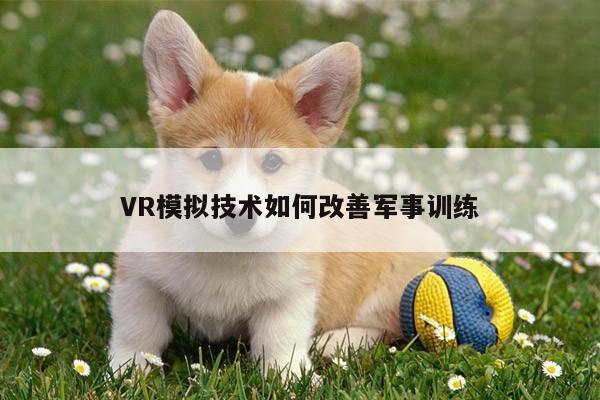 VR模拟技术如何改善军事训练：凯发一触即发