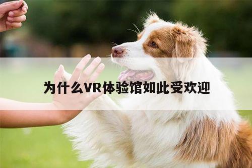 凯发一触即发：为什么VR体验馆如此受欢迎