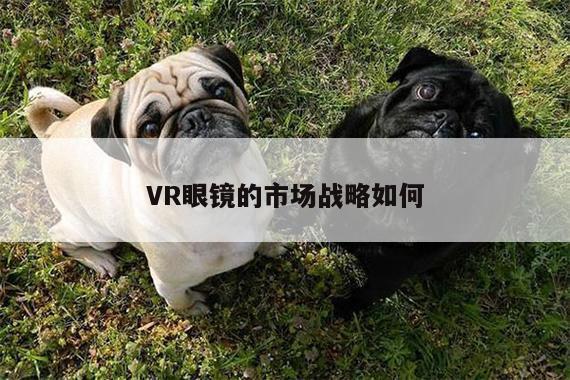 凯发一触即发_VR眼镜的市场战略如何