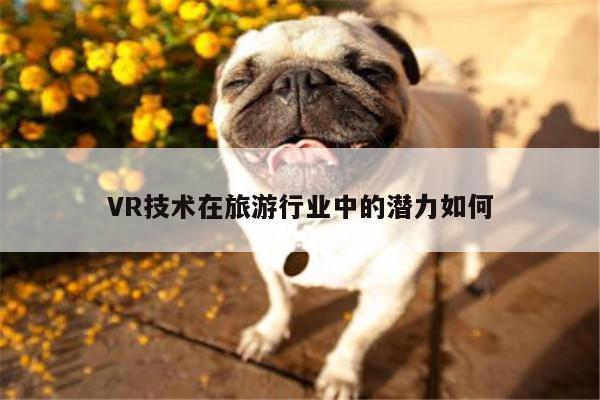 【凯发就来凯发天生赢家一触即发】VR技术在旅游行业中的潜力如何